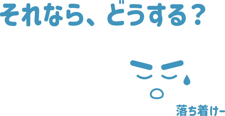 それなら、どうする？