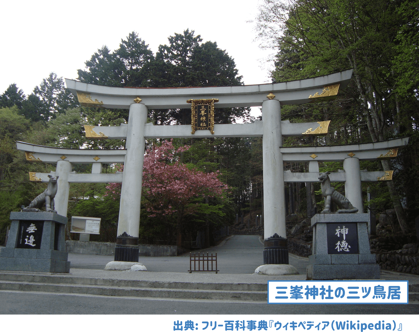 鳥居の画像です。