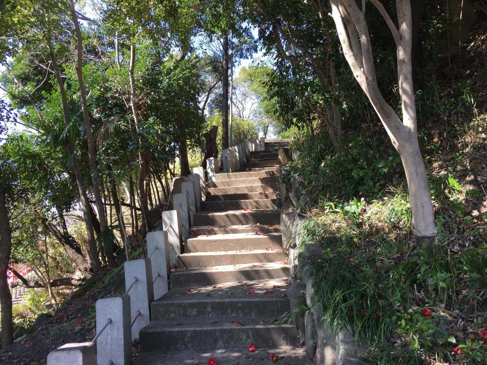 神前神社の画像です。