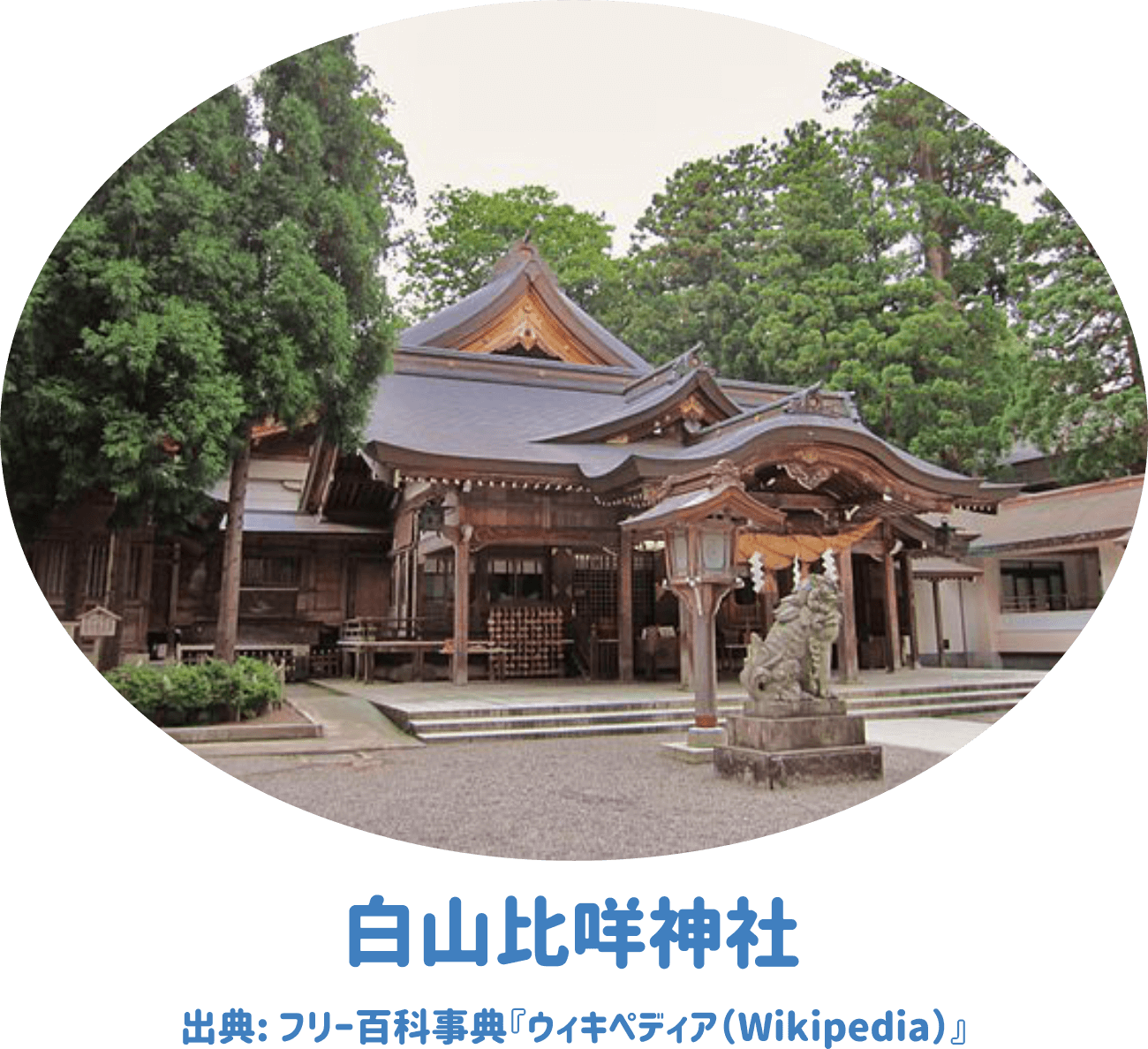 白山比咩神社の画像です。