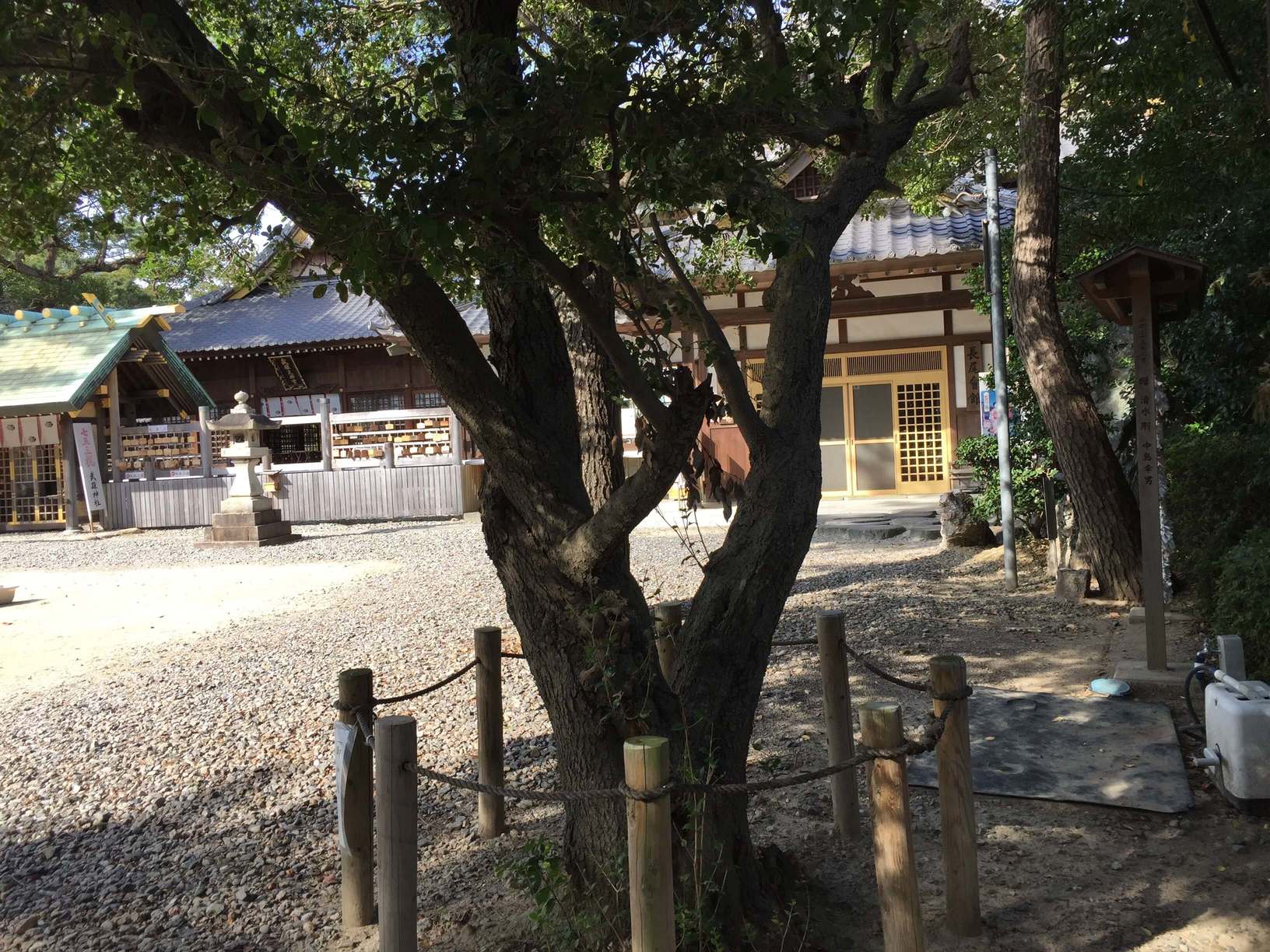 武雄神社の画像です。