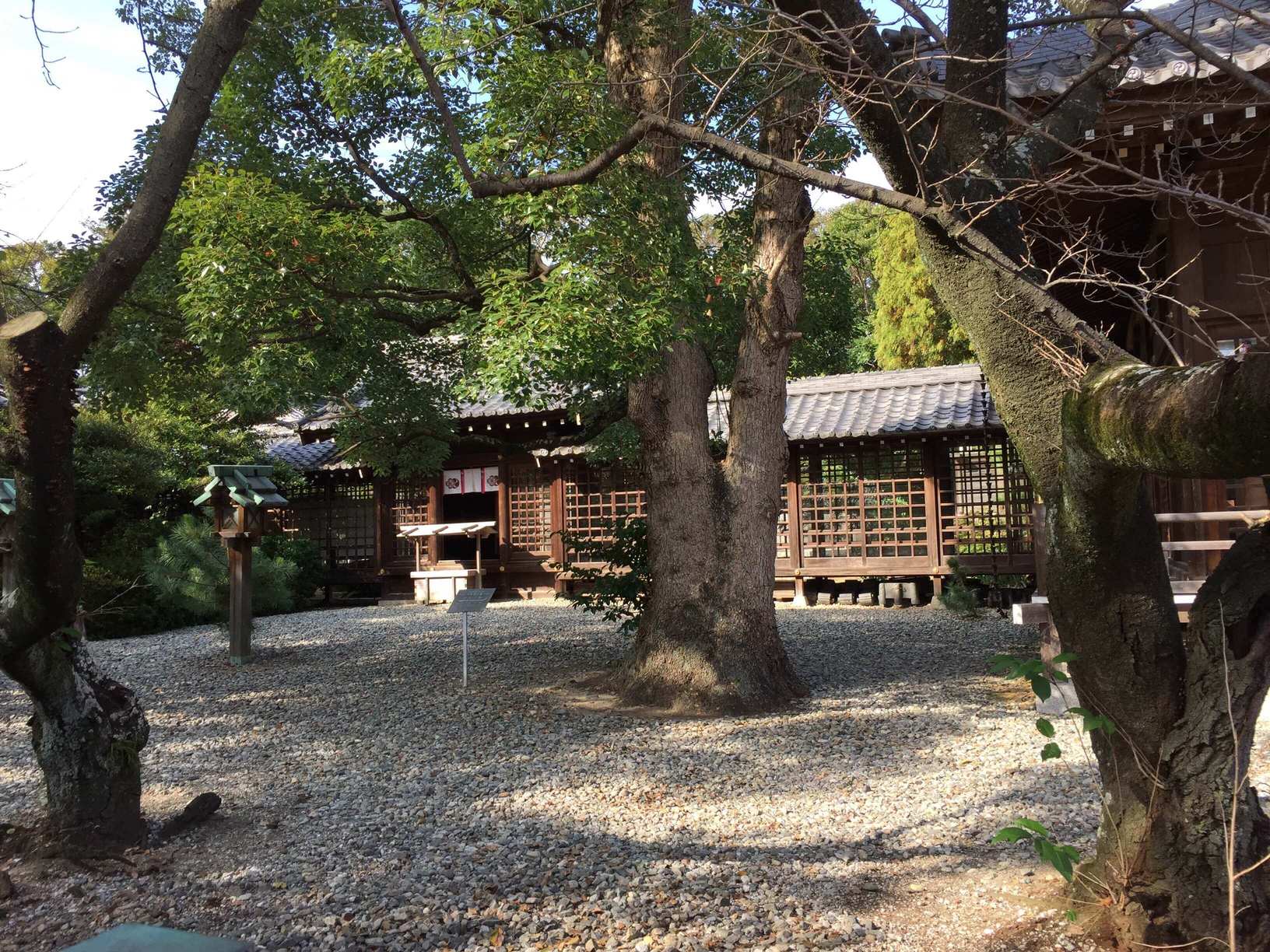 武雄神社の画像です。