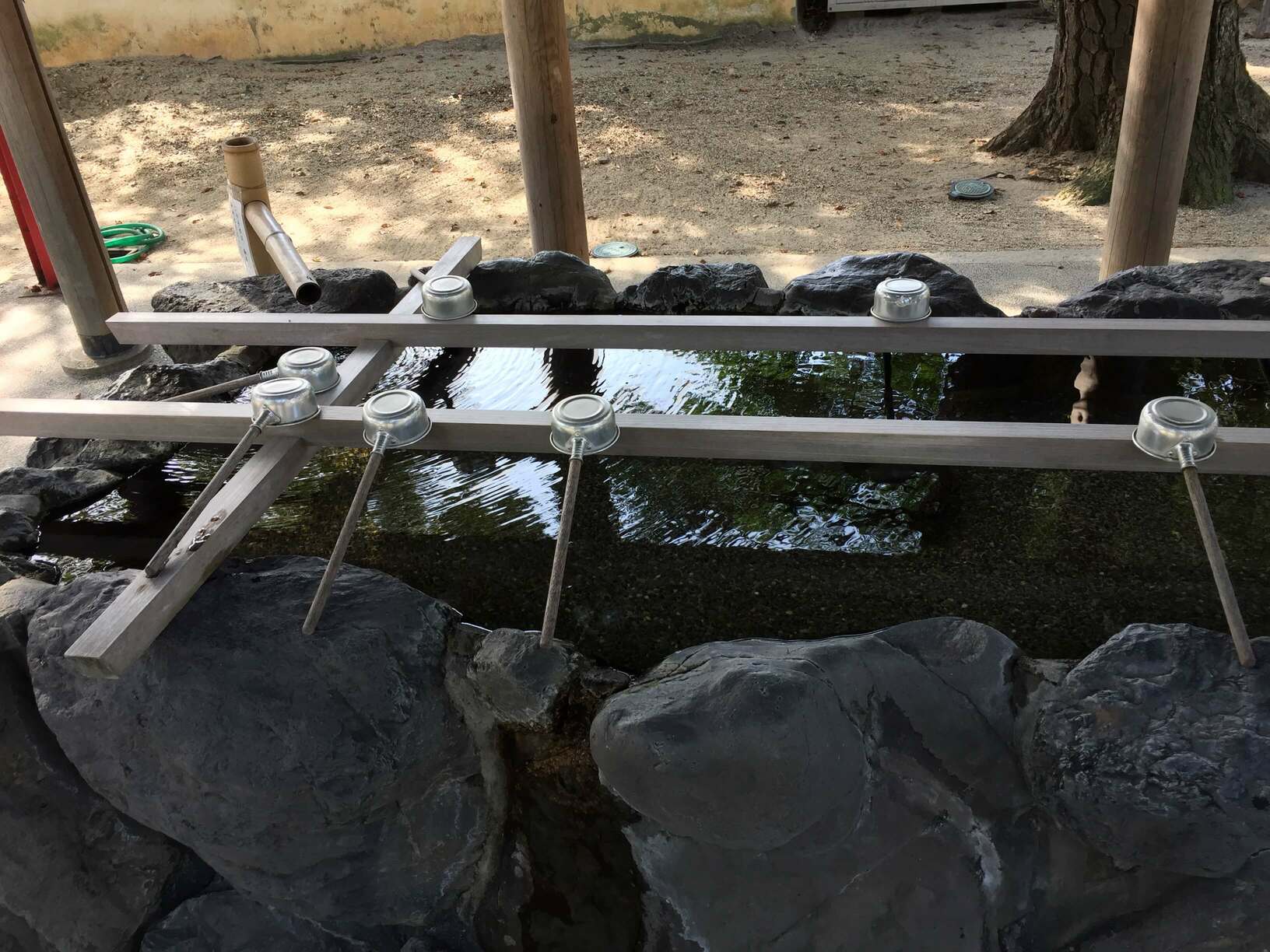 武雄神社の画像です。